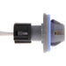 License Plate Light Socket WVE 1P1412