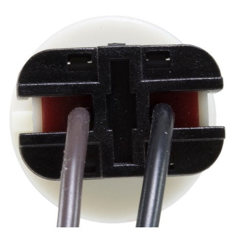 License Plate Light Socket WVE 1P1417