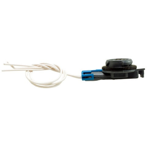 Back Up Light Socket WVE 1P1430