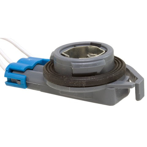 Back Up Light Socket WVE 1P1430