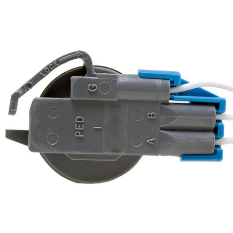 Back Up Light Socket WVE 1P1430