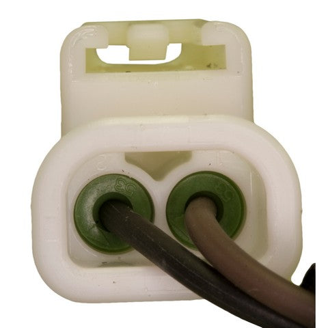 Oil Pressure Switch Connector WVE 1P1436