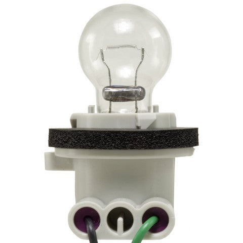 Back Up Light Socket WVE 1P1443