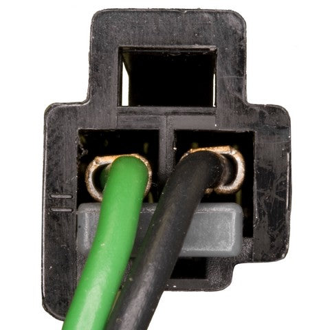 Back Up Light Socket WVE 1P1443