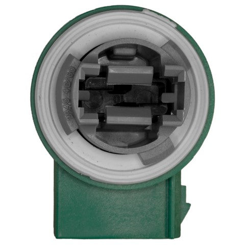Back Up Light Socket WVE 1P1452