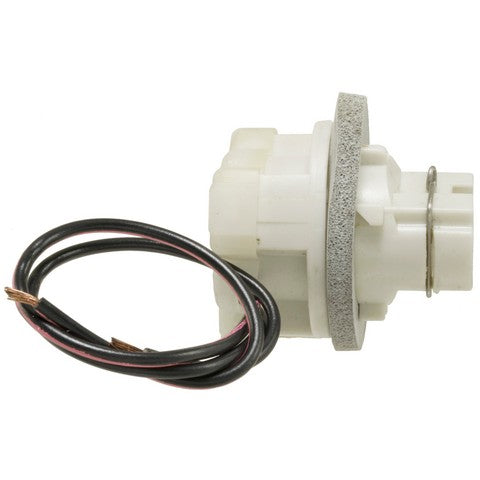 Back Up Light Socket WVE 1P1453