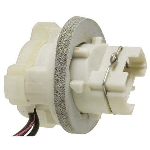 Back Up Light Socket WVE 1P1453