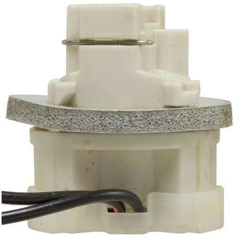 Back Up Light Socket WVE 1P1453