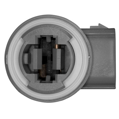 Back Up Light Socket WVE 1P1461