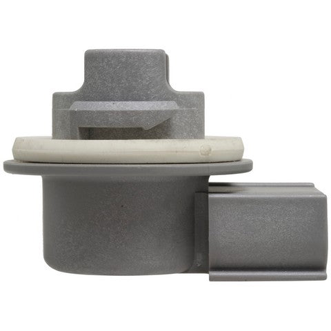 Back Up Light Socket WVE 1P1462