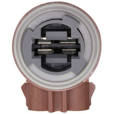 Tail Light Socket WVE 1P1463