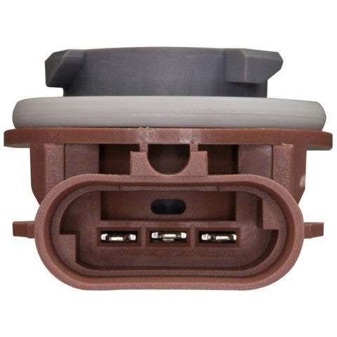 Tail Light Socket WVE 1P1463