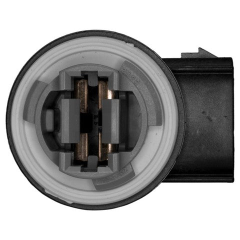 Tail Light Socket WVE 1P1466