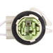 Turn Signal Light Socket WVE 1P1477