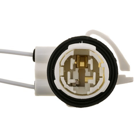 Daytime Running Light Socket WVE 1P1478