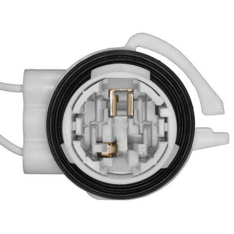 Daytime Running Light Socket WVE 1P1478