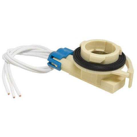 Tail Light Socket WVE 1P1480