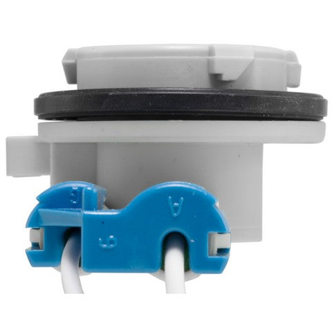 Back Up Light Socket WVE 1P1482