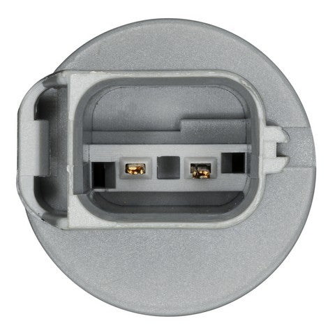 Tail Light Socket WVE 1P1496