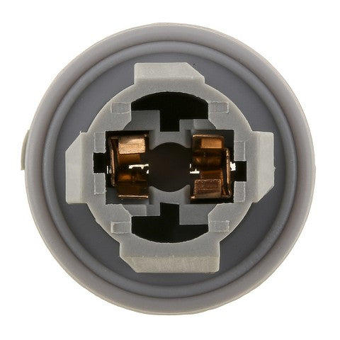Tail Light Socket WVE 1P1496