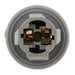 Tail Light Socket WVE 1P1496