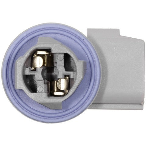 Back Up Light Socket WVE 1P1497