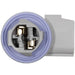 Back Up Light Socket WVE 1P1497