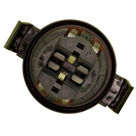 Tail Light Socket WVE 1P1512