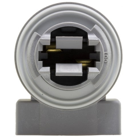 Cornering Light Socket WVE 1P1527