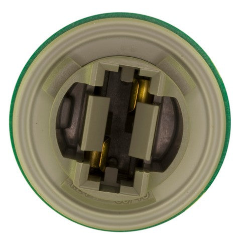 Back Up Light Socket WVE 1P1532