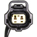 Air Charge Temperature Sensor Connector WVE 1P1562