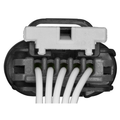 Exhaust Gas Recirculation (EGR) Valve Motor Connector WVE 1P1589