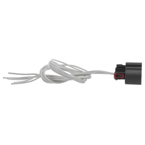 Tail Light Wiring Harness Connector WVE 1P1604