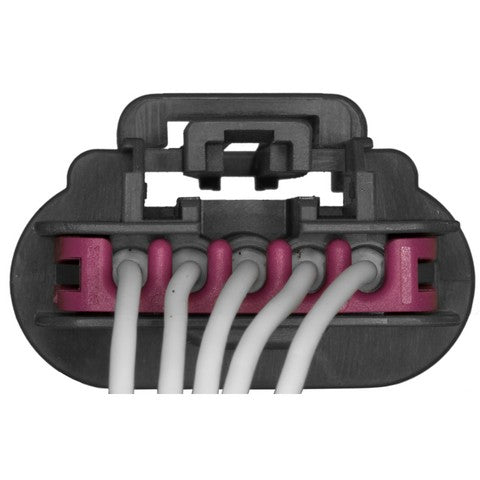 Tail Light Wiring Harness Connector WVE 1P1604