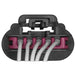 Tail Light Wiring Harness Connector WVE 1P1604