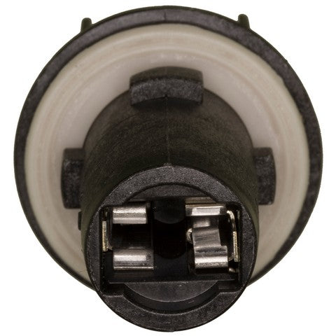 Side Marker Light Socket WVE 1P1616