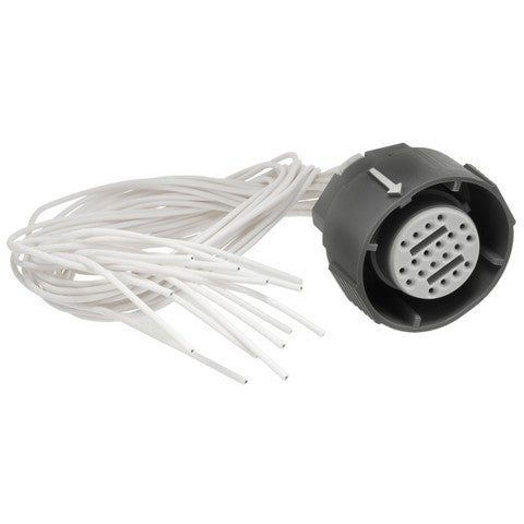 Automatic Transmission Wiring Harness Connector WVE 1P1649