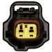 Fuel Tank Temperature Sensor Connector WVE 1P1655