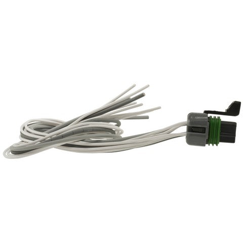 Cruise Control Module Connector WVE 1P1665