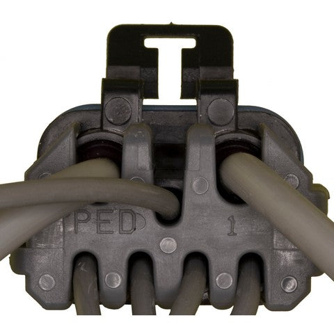 Back Up Light Switch Connector WVE 1P1668