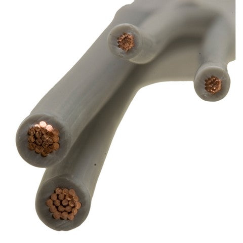 Brake Light Switch Connector WVE 1P1678