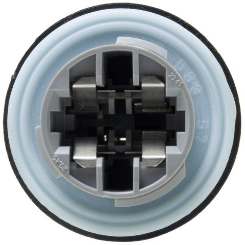 Daytime Running Light Socket WVE 1P1696
