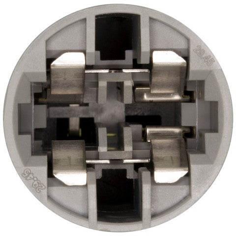 Daytime Running Light Socket WVE 1P1696