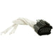 Ignition Control Module Connector WVE 1P1710
