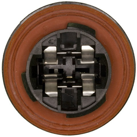 Daytime Running Light Socket WVE 1P1733