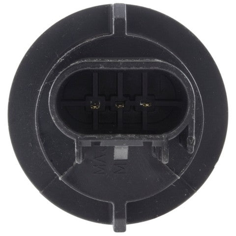 Daytime Running Light Socket WVE 1P1733