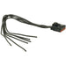 Instrument Panel Dimmer Switch Connector WVE 1P1759