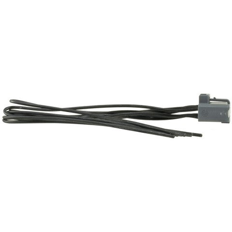 Traction Control Switch Connector WVE 1P1776
