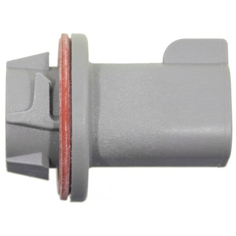Back Up Light Socket WVE 1P1826