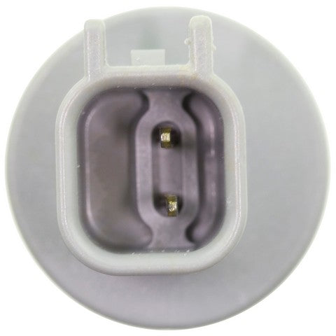 Back Up Light Socket WVE 1P1826
